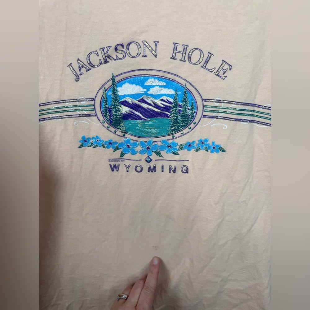Vintage Single Stitch Tee Anvil Jackson Hole Wyoming T-Shirt XL - Picture 5 of 6